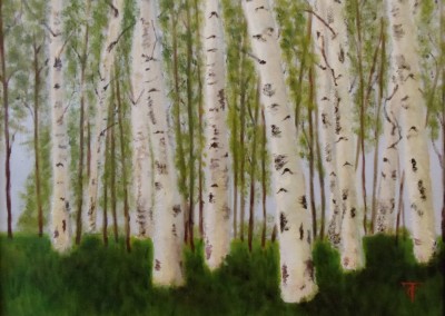 Birches
